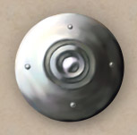 Target shield
